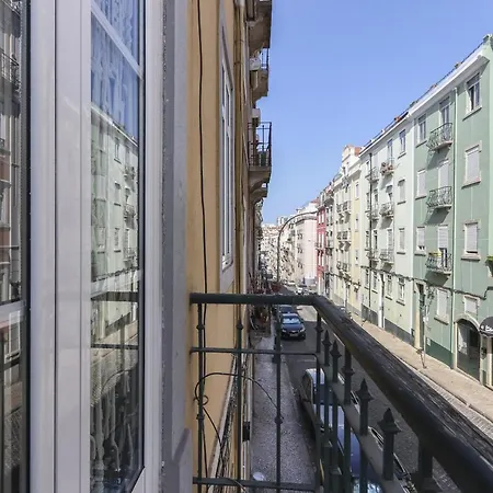 Red Almirante By Homing * Lisbon